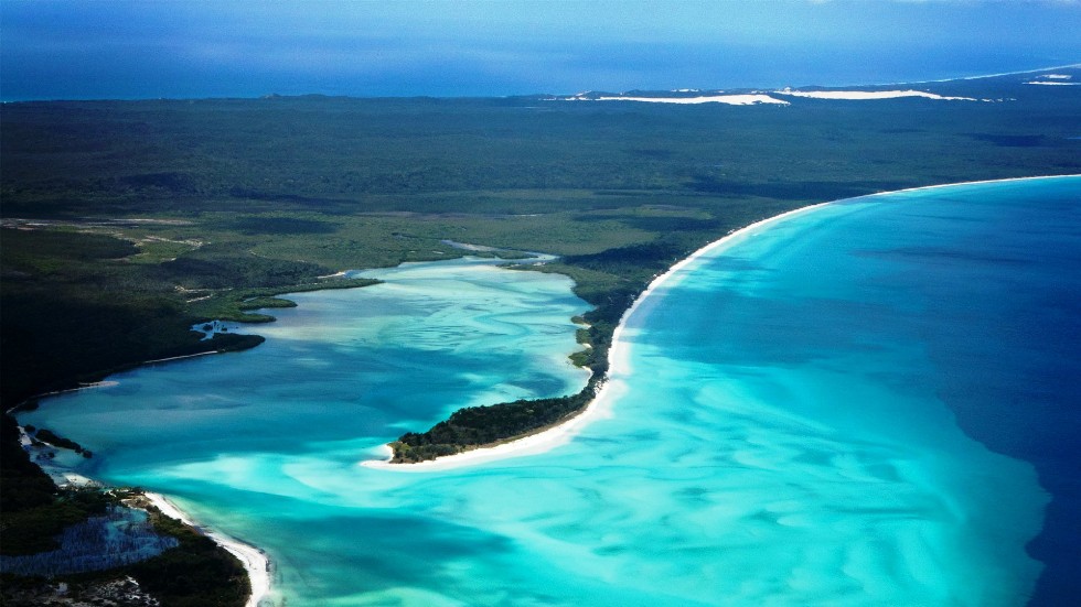 Fraser Island.jpg